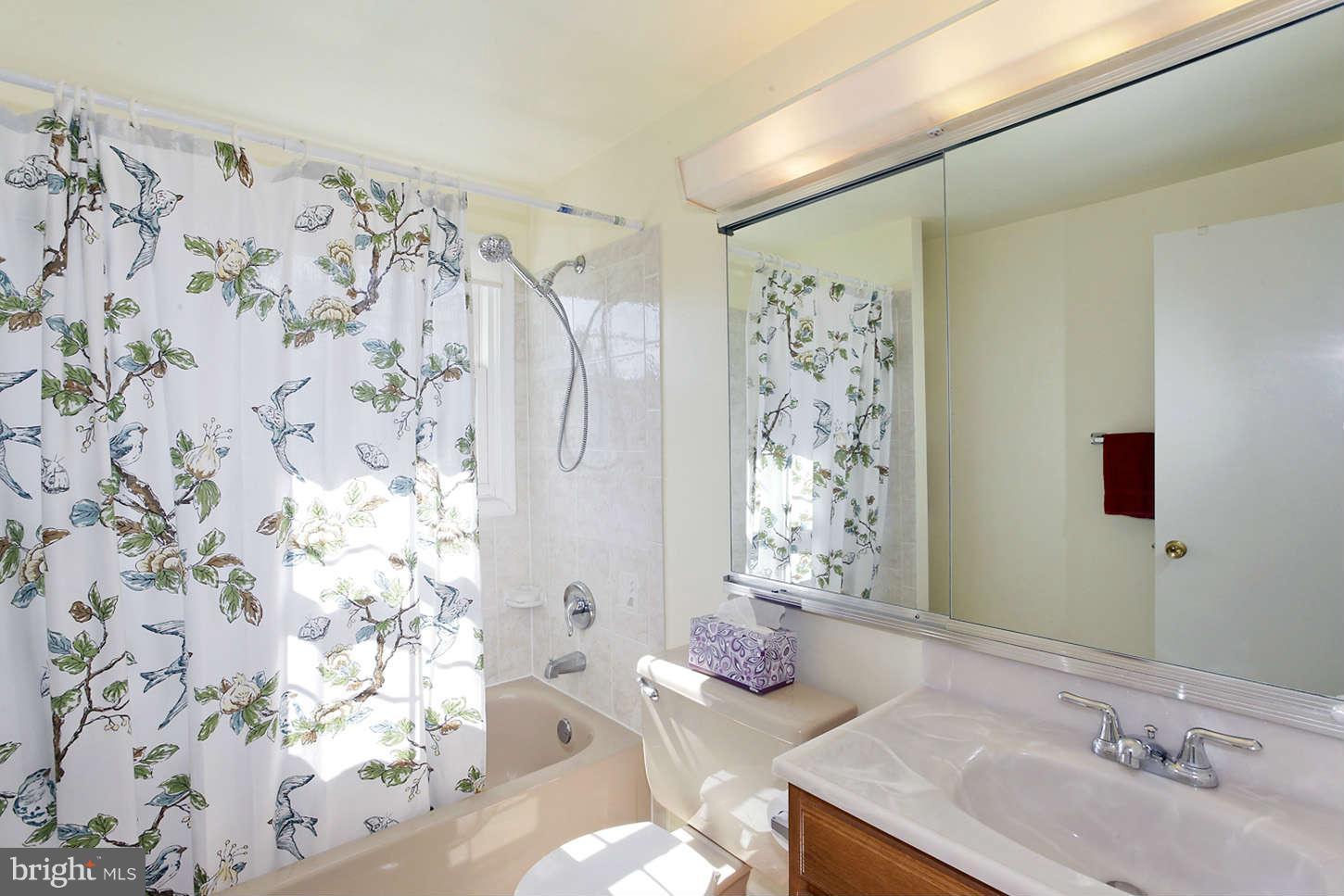 3013 Birchtree Lane Silver Spring, MD 20906 - Photo 23 of 25 Upper Level Hall Bath