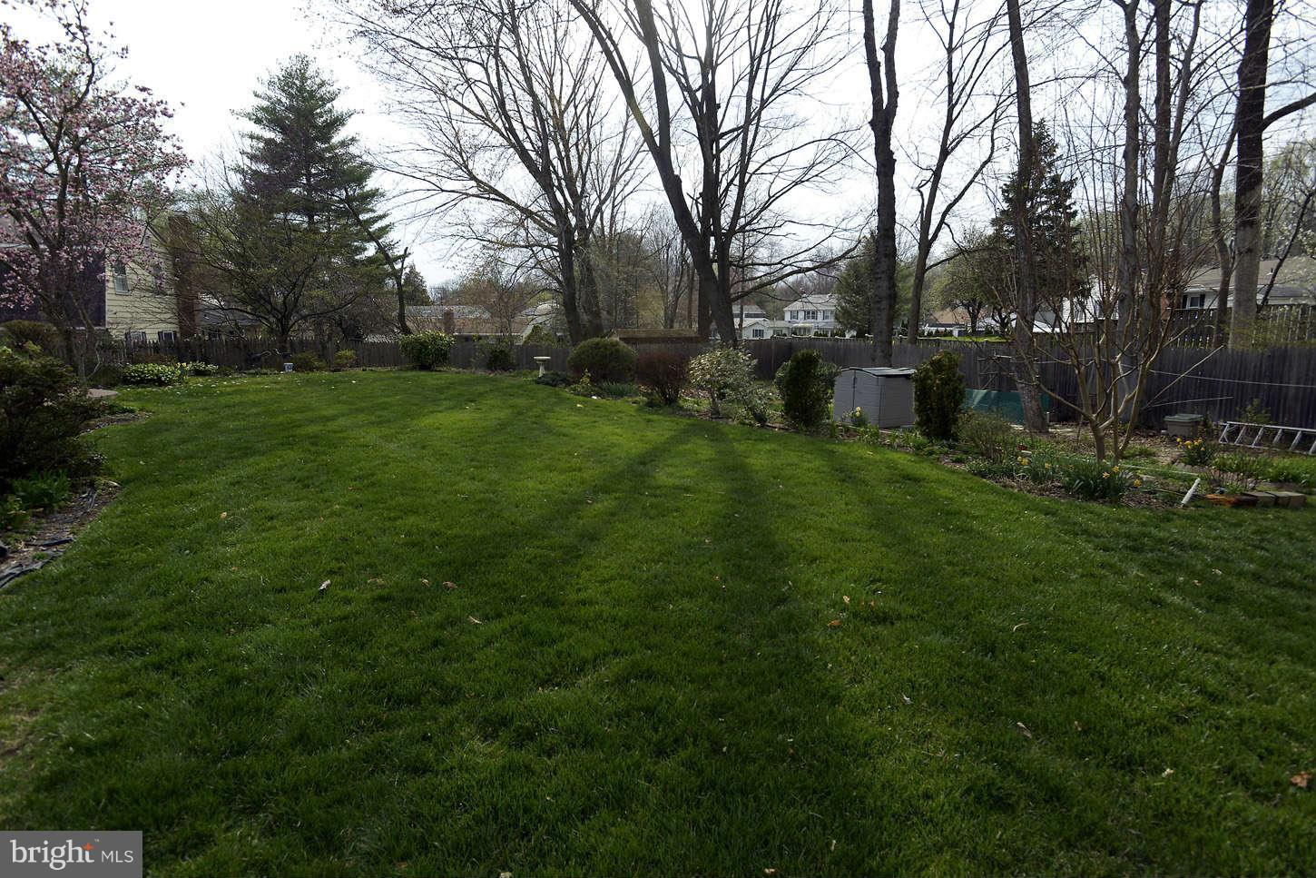 Wonderful Backyard