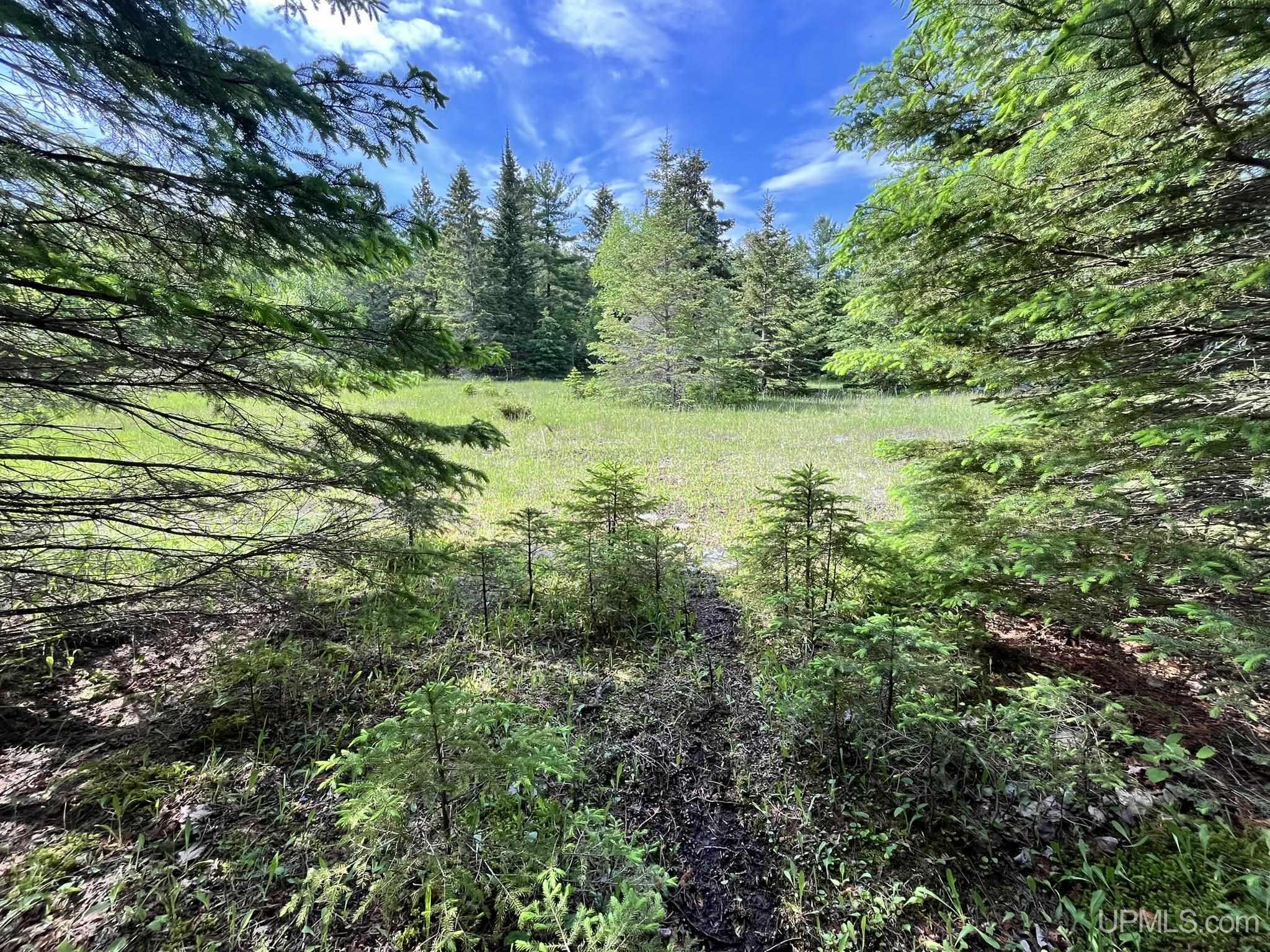 Tbd 16th Road Garden, MI 49835 - Photo 23 of 37