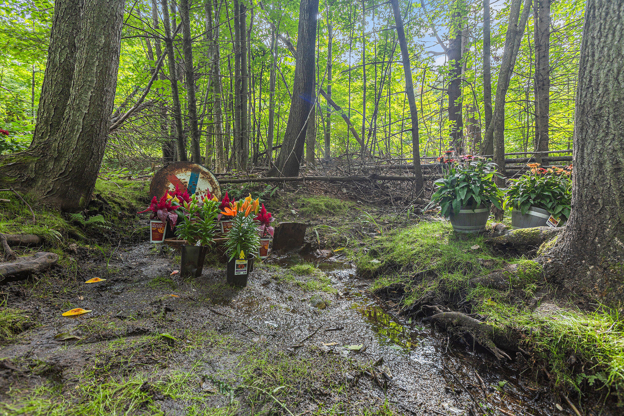 1115 Gobblers Knob Road Boyne City, MI 49712 - Photo 25 of 36 023__mg_2218_254