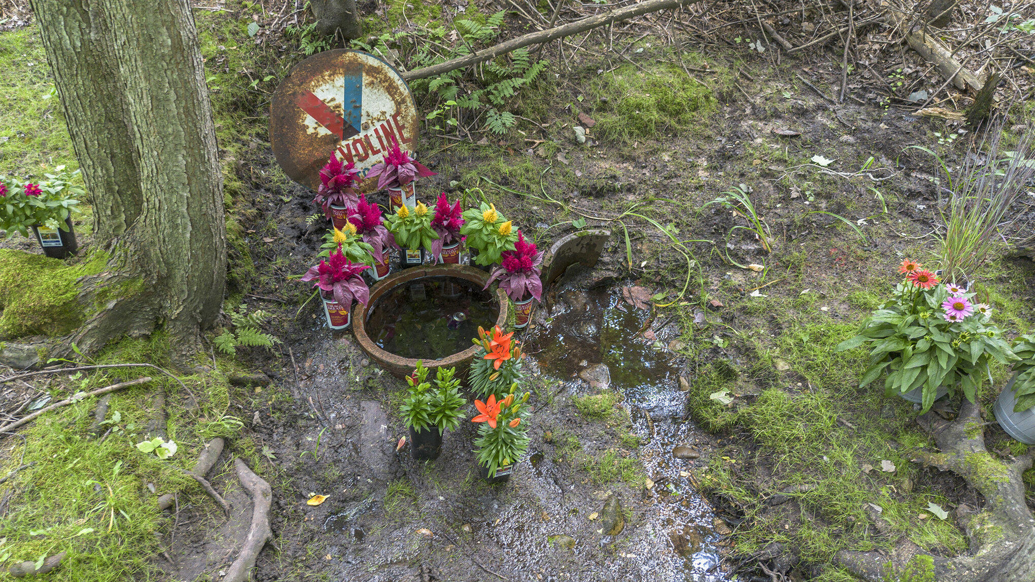 1115 Gobblers Knob Road Boyne City, MI 49712 - Photo 31 of 36 036_dji_0016_27