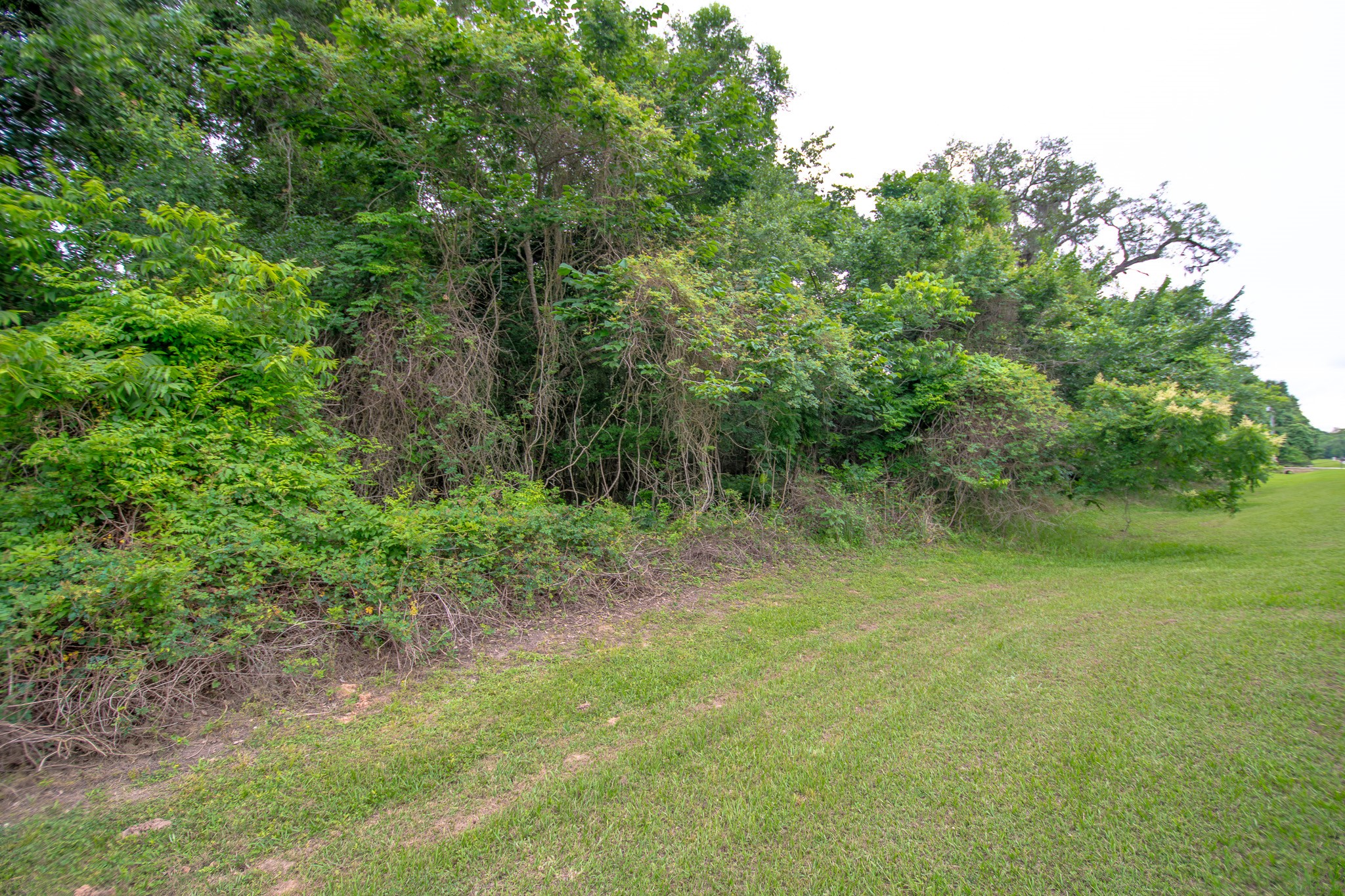 1015 West Point Drive Rosharon, TX 77583 - Photo 3 of 8