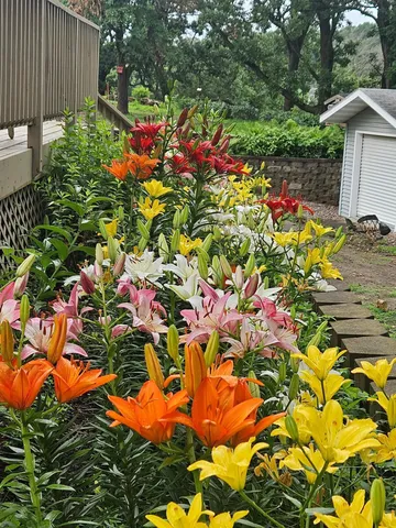 $750,000 | 56381 400th Avenue, Zumbro Falls, MN 55991