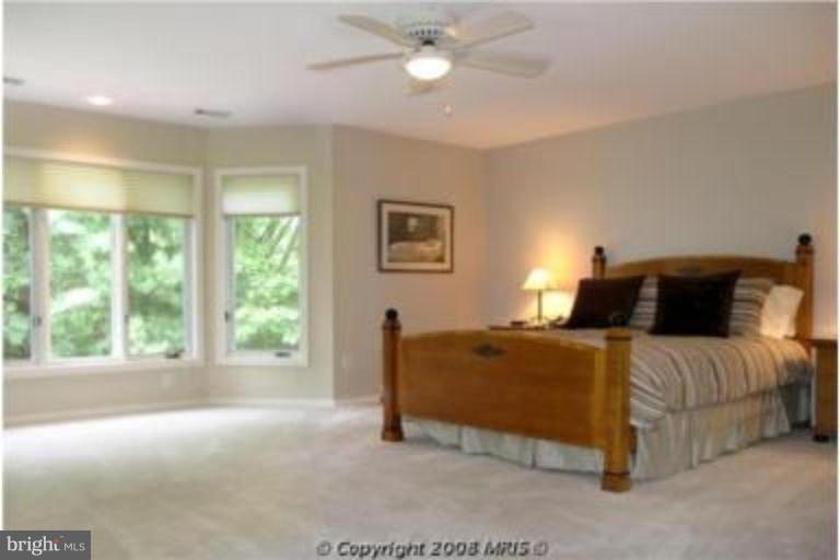 11572 Hemingway Drive Reston, VA 20194 - Photo 15 of 20 Master Bedroom
