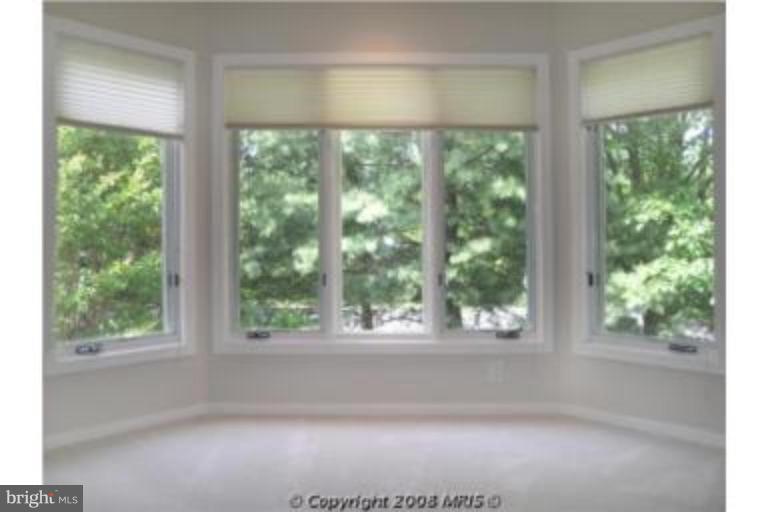 11572 Hemingway Drive Reston, VA 20194 - Photo 16 of 20 Master Bedroom #2