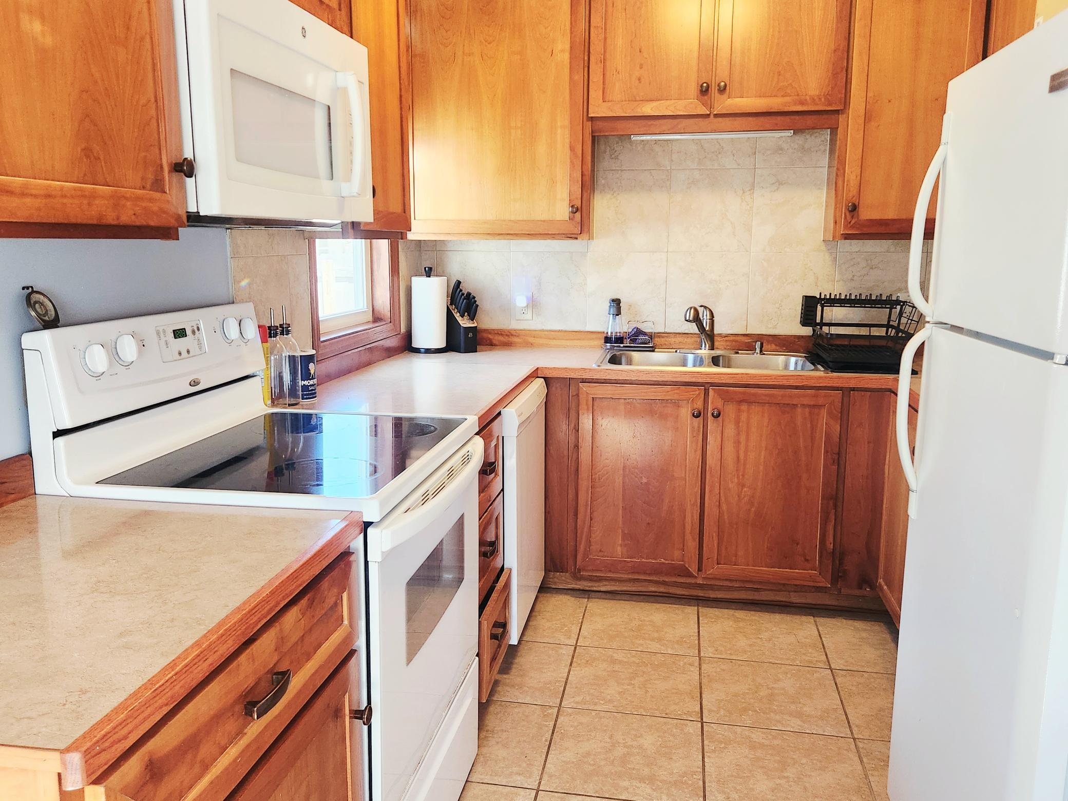 1015 8th Avenue Northwest Rochester, MN 55901 - Photo 5 of 28