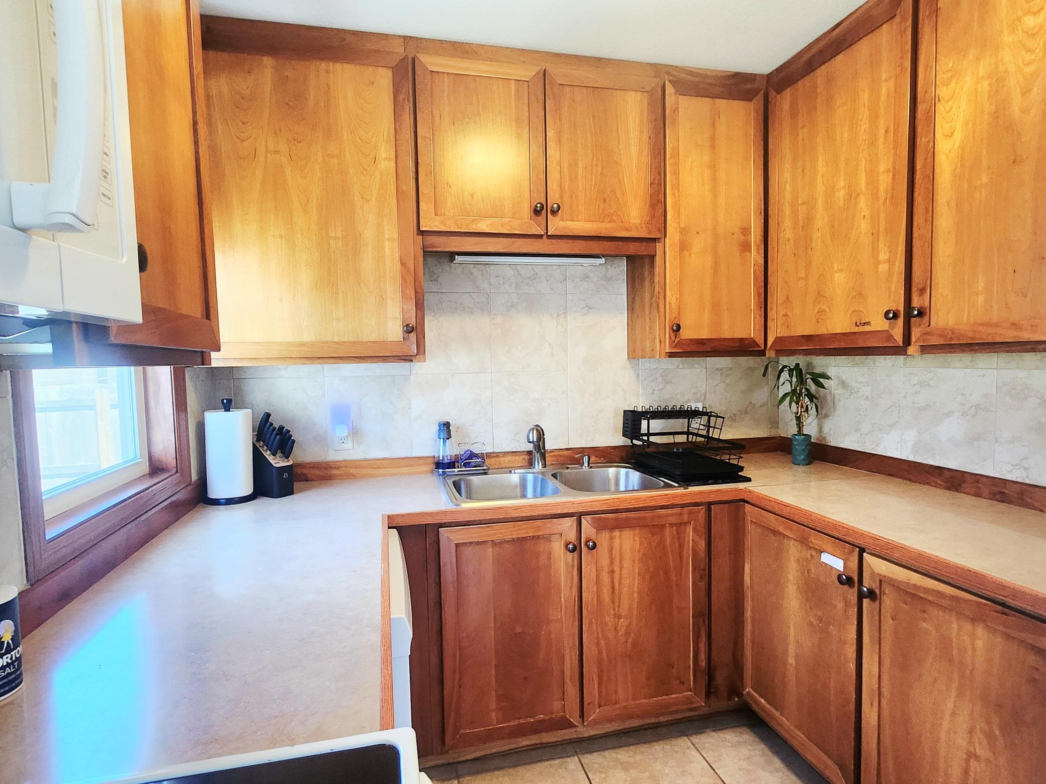 1015 8th Avenue Northwest Rochester, MN 55901 - Photo 6 of 28