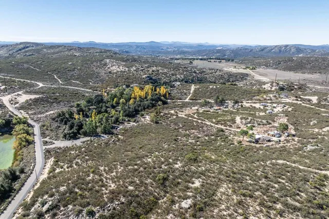 a view of a dry yard with trees