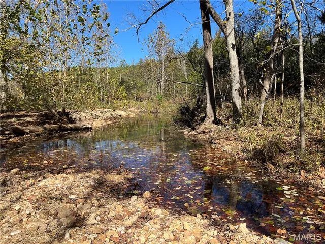 $285,000 | 906 Bunker Mo 63629, Bunker, MO 63629