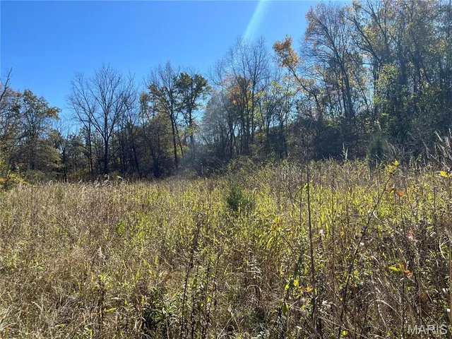 $285,000 | 906 Bunker Mo 63629, Bunker, MO 63629