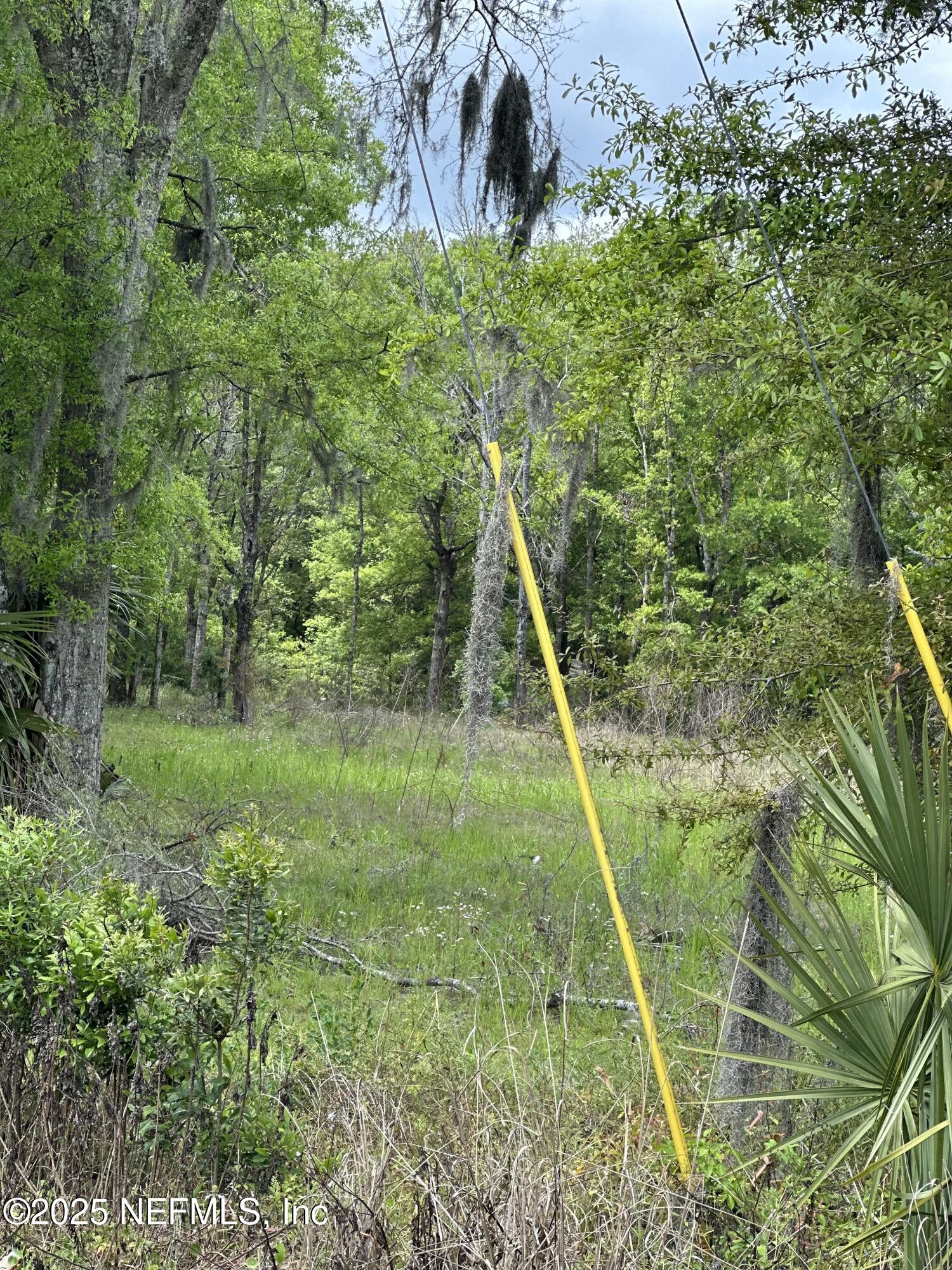 12452 Lem Turner Road Jacksonville, FL 32218 - Photo 3 of 5 IMG_4508