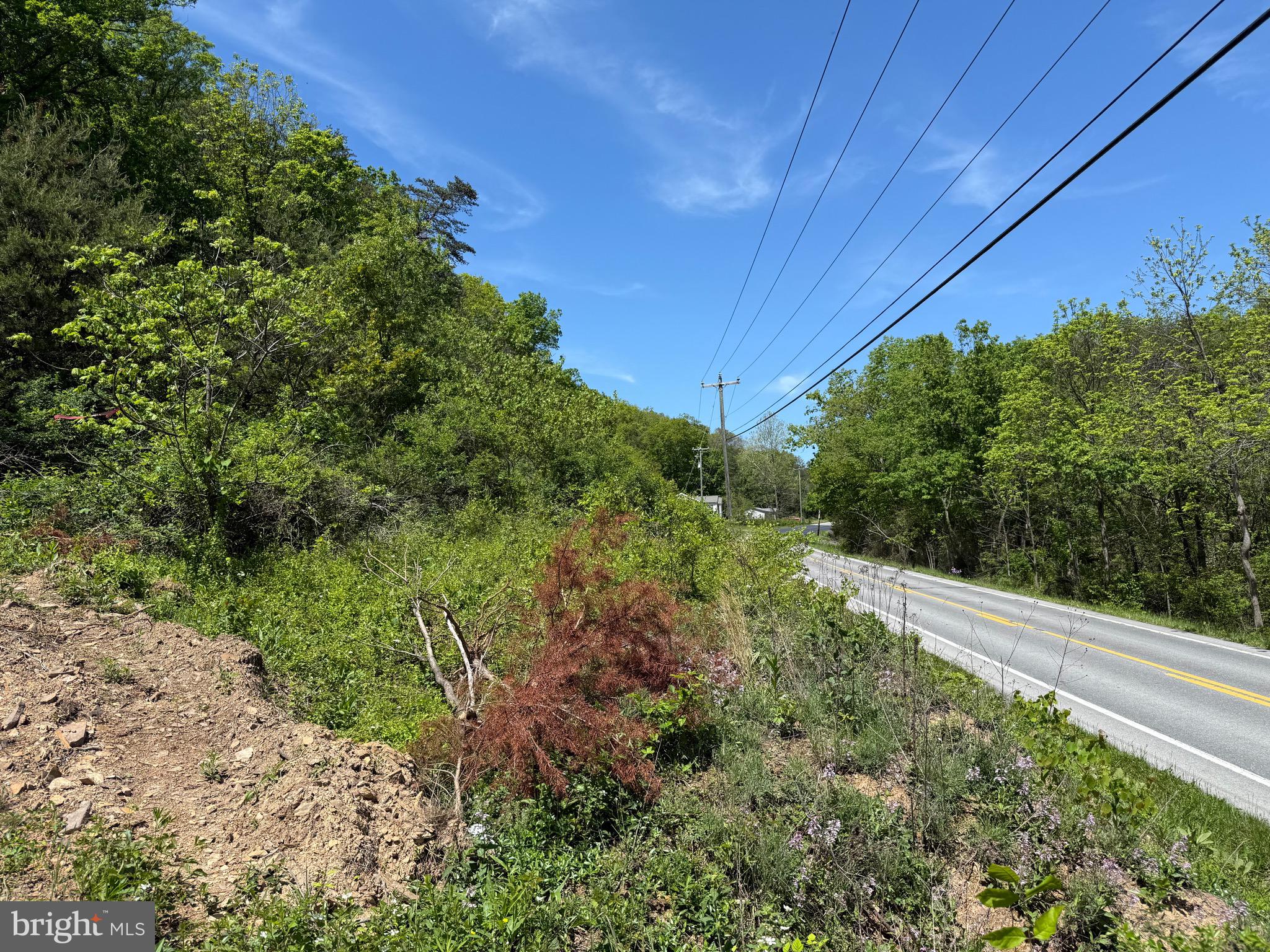 Winchester Grade Road Berkeley Springs, WV 25411 - Photo 12 of 13 a view of a yard