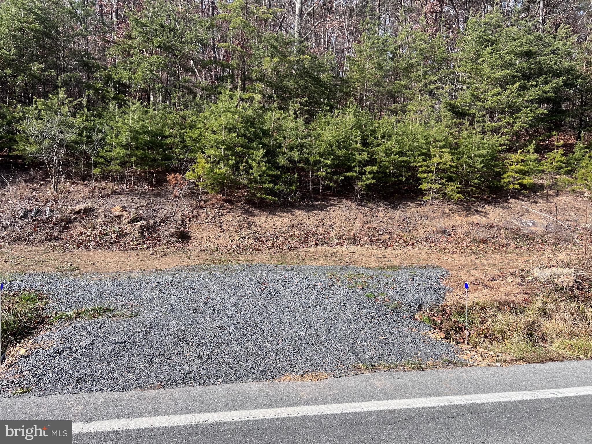 Winchester Grade Road Berkeley Springs, WV 25411 - Photo 4 of 13 a view of a yard with a tree