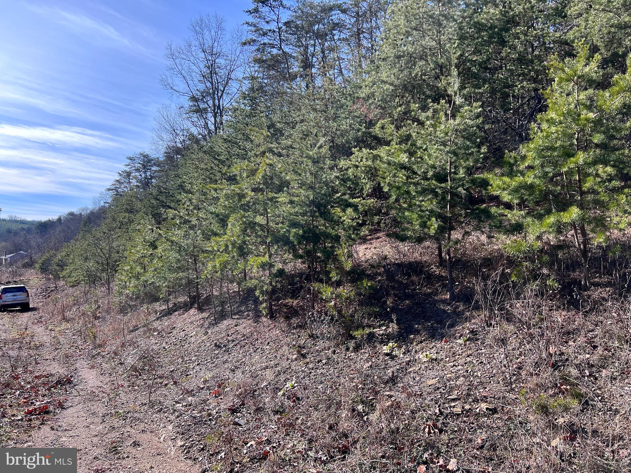 Winchester Grade Road Berkeley Springs, WV 25411 - Photo 5 of 13 a big yard with lots of green space