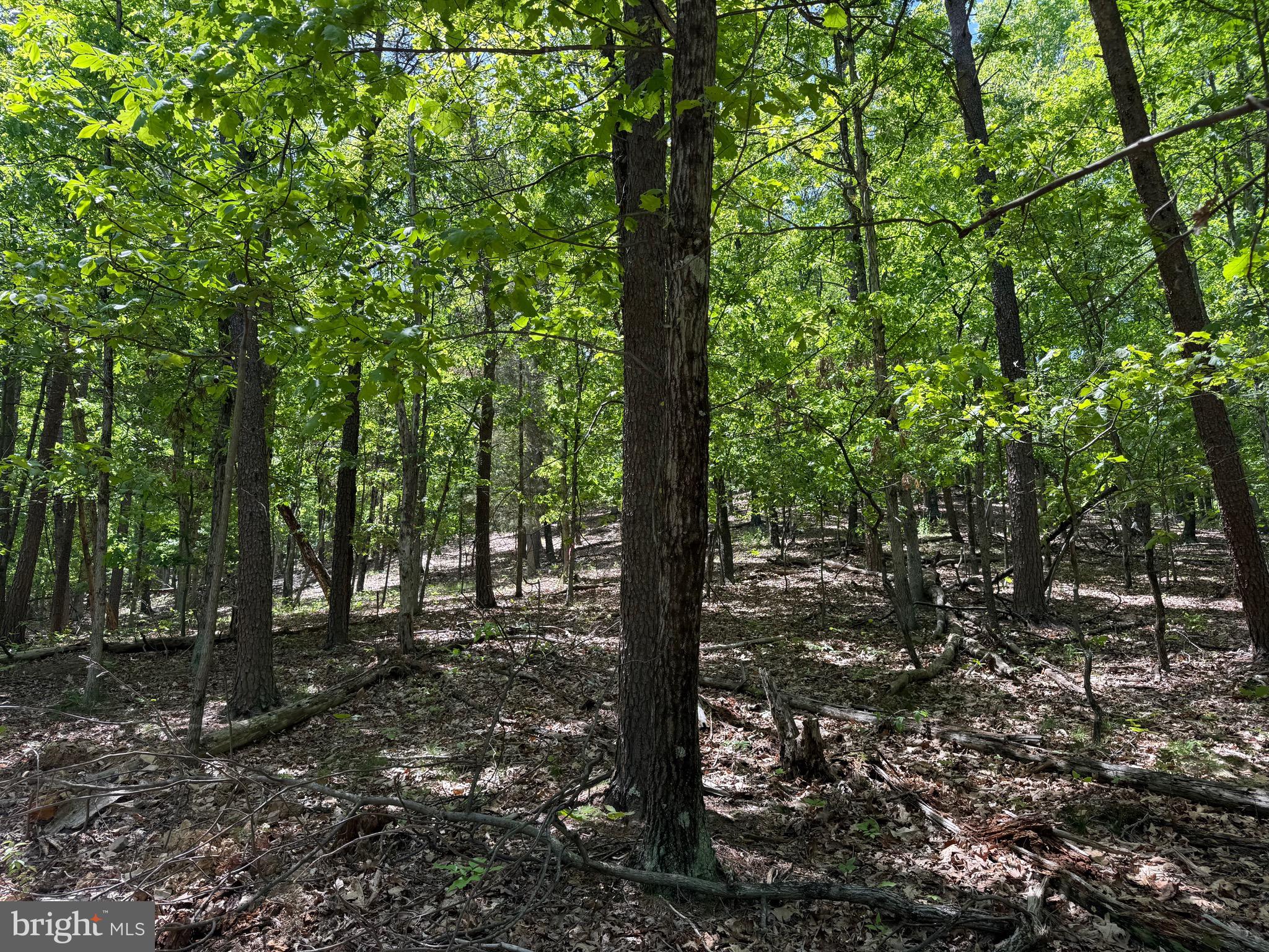 Winchester Grade Road Berkeley Springs, WV 25411 - Photo 7 of 13 a view of outdoor space and yard