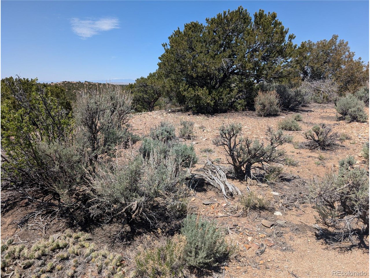 3885 Galloway Road Fort Garland, CO 81133 - Photo 11 of 16 Gallery Image 11