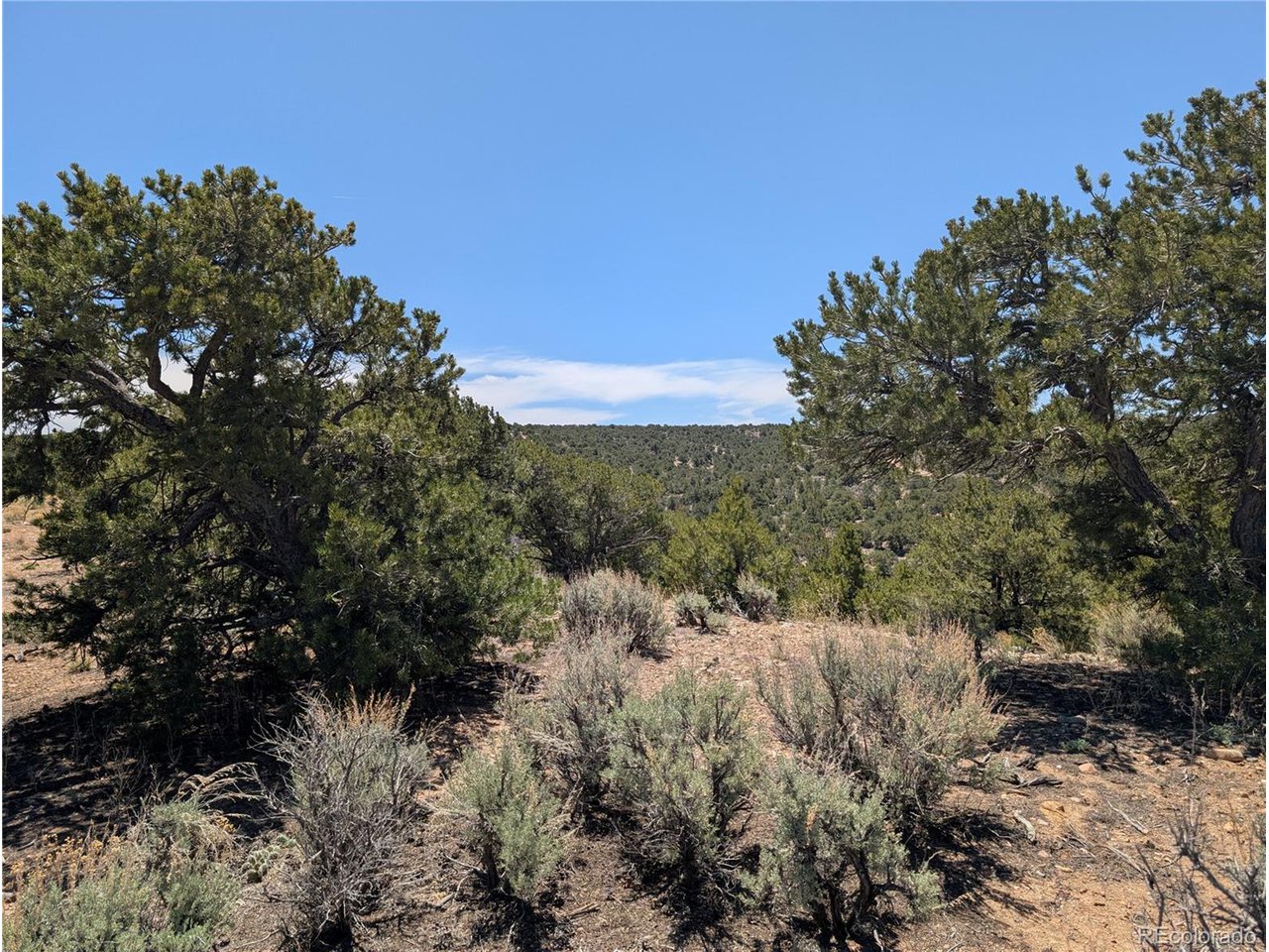 3885 Galloway Road Fort Garland, CO 81133 - Photo 12 of 16 Gallery Image 12