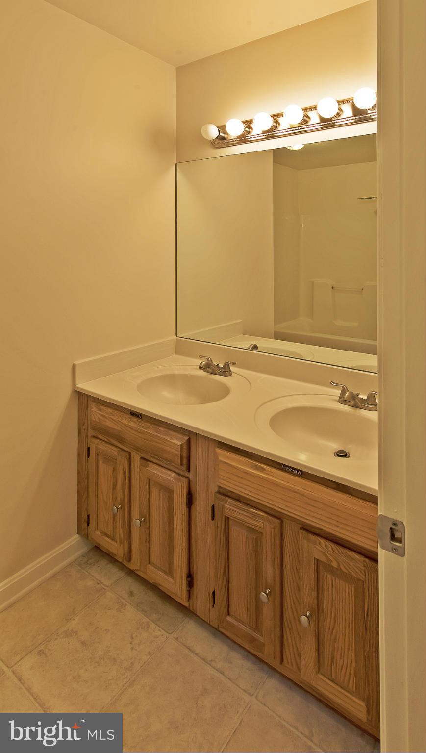 10099 Rixeyville Road Culpeper, VA 22701 - Photo 14 of 24 Bath (Master)