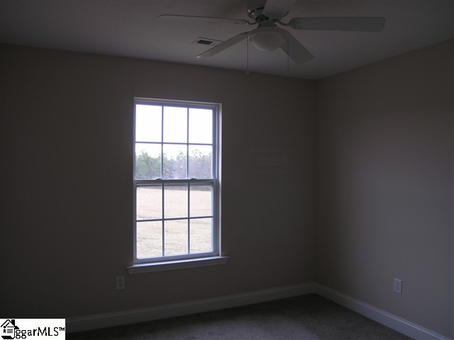 333 Caxton Farm Court Inman, SC 29349 - Photo 14 of 21