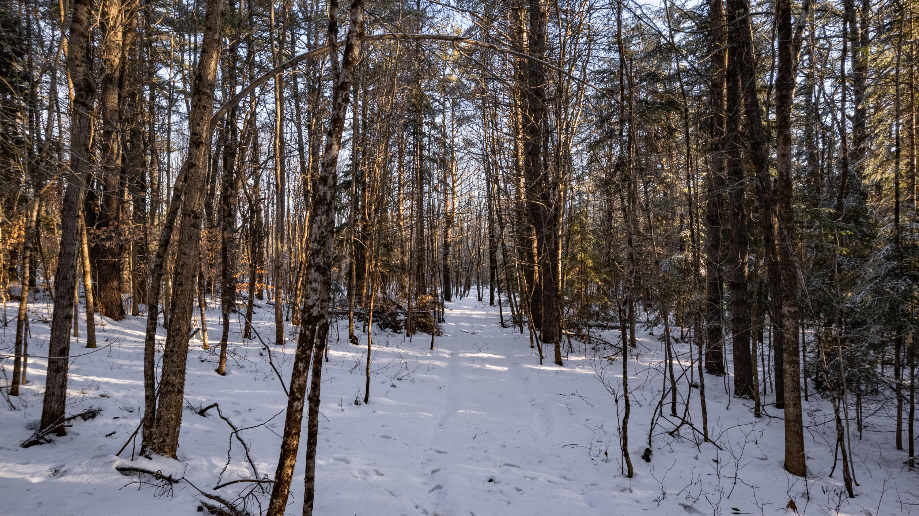 Lot 2 Church Hill Road Leeds, ME 04263 - Photo 3 of 24 373 Church Hill Leeds-23