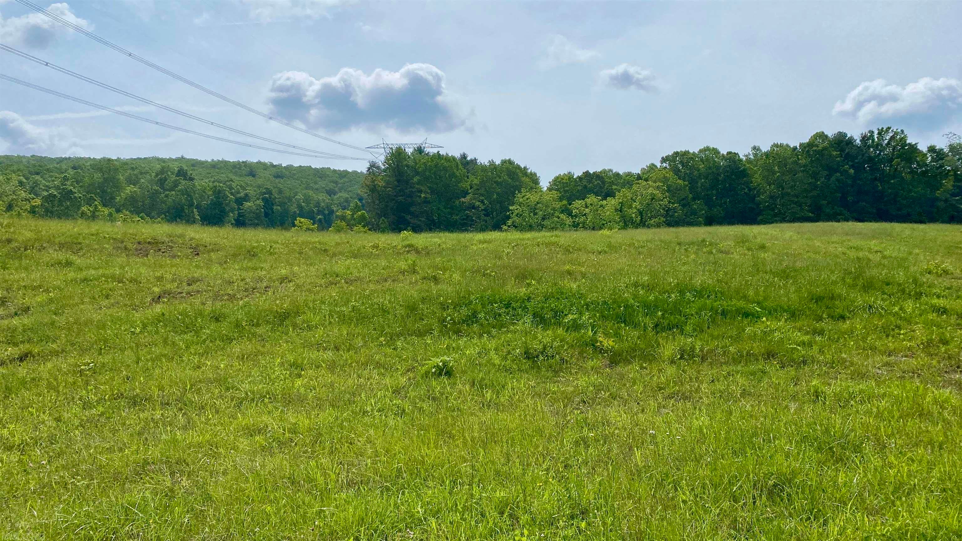 Tbd Castleton Road Max Meadows, VA 24360 - Photo 3 of 37 Gallery Image 3