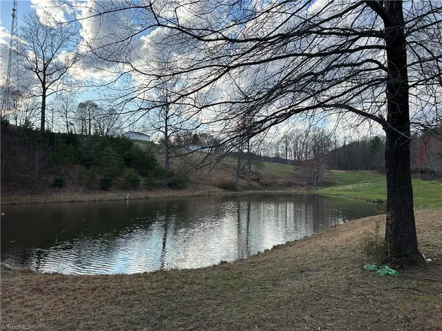 $260,000 | Tbd Ike Slate Lane, Ararat, VA 24053