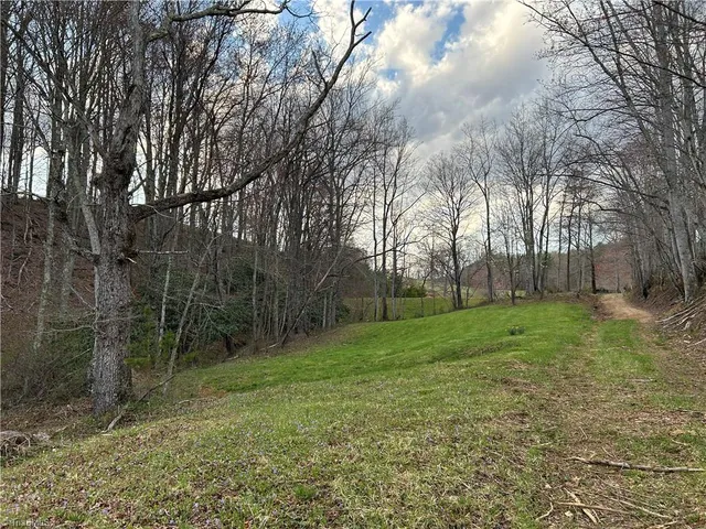 $260,000 | Tbd Ike Slate Lane, Ararat, VA 24053