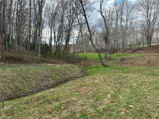 $260,000 | Tbd Ike Slate Lane, Ararat, VA 24053