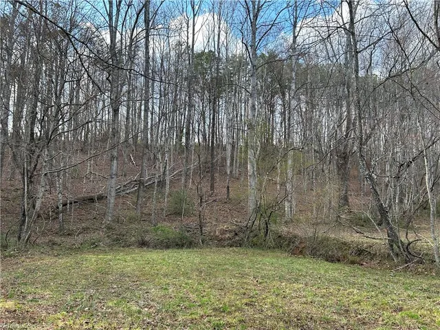 $260,000 | Tbd Ike Slate Lane, Ararat, VA 24053