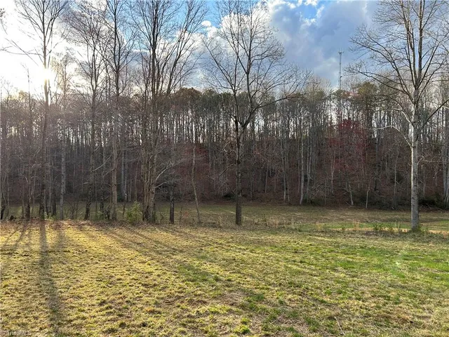$260,000 | Tbd Ike Slate Lane, Ararat, VA 24053