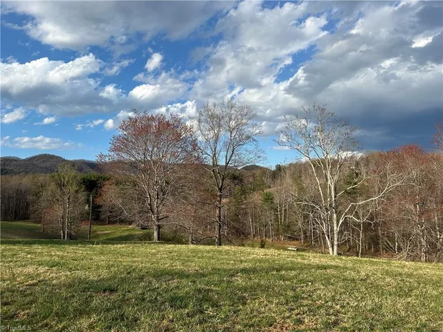 $260,000 | Tbd Ike Slate Lane, Ararat, VA 24053