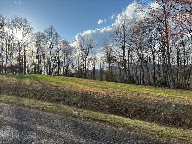 $260,000 | Tbd Ike Slate Lane, Ararat, VA 24053