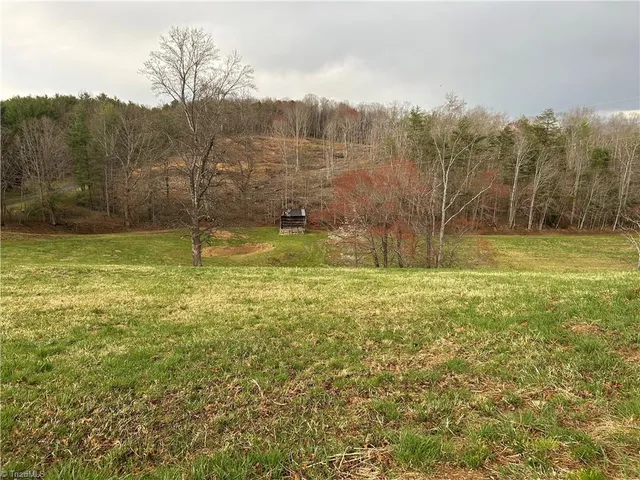 $260,000 | Tbd Ike Slate Lane, Ararat, VA 24053