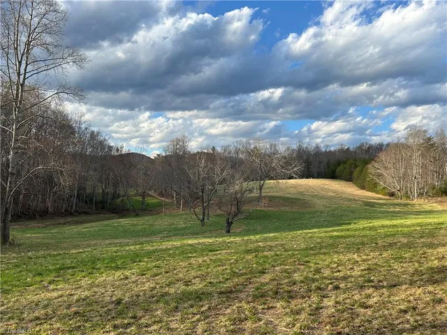 $260,000 | Tbd Ike Slate Lane, Ararat, VA 24053
