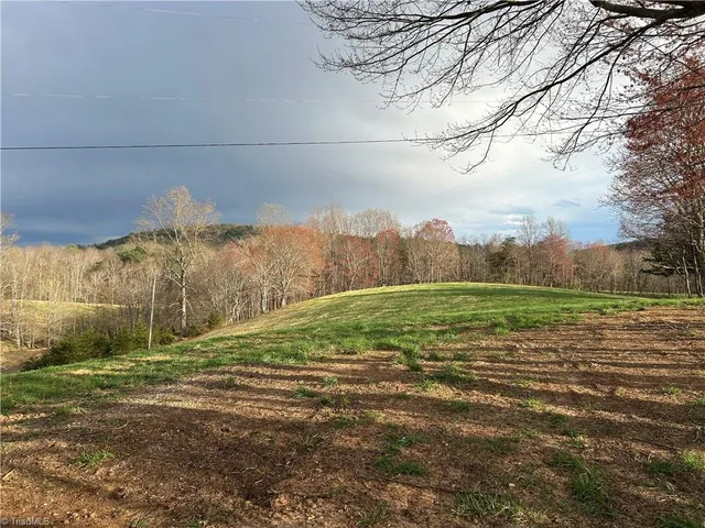 $260,000 | Tbd Ike Slate Lane, Ararat, VA 24053