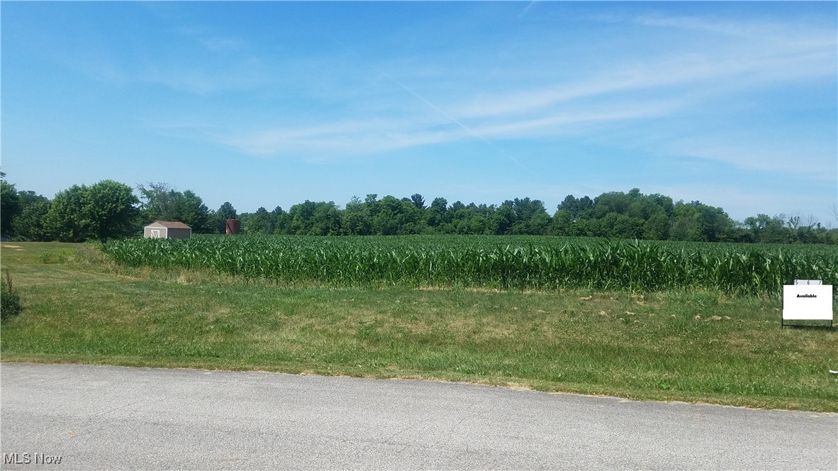 Lot 7 Wheeler Road Garrettsville, OH 44231 - Photo 2 of 3 View of asphalt street featuring a view of rural / pastoral area and view of scattered trees