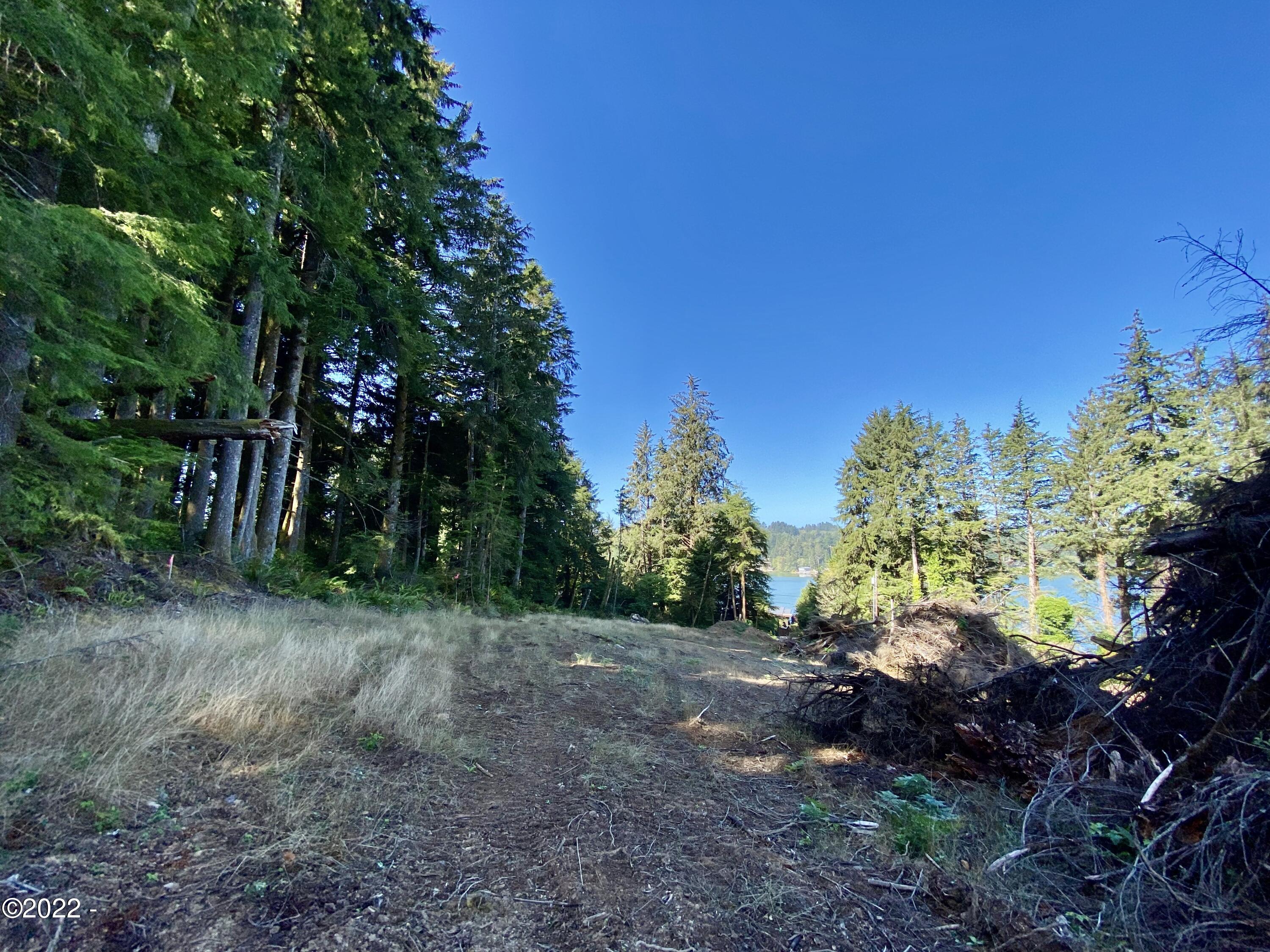 603 Northeast Devil's Lake Road Otis, OR 97368 - Photo 4 of 17 Lot