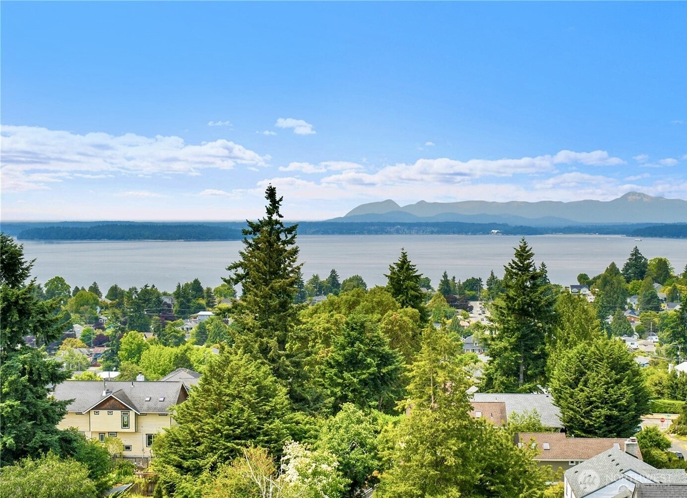 5001 California Avenue Southwest, Unit 103 Seattle, WA 98136 - Photo 3 of 40 a view of a lake with a city