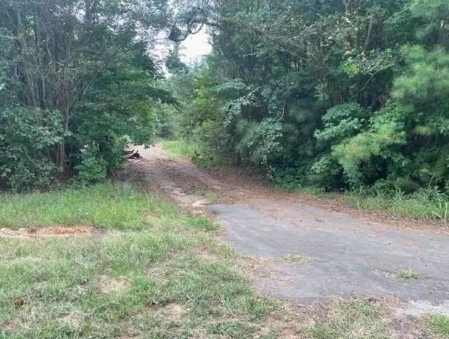 $193,130 | 4315 County Road 239, Winona, TX 75792