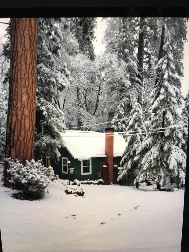 620 Loop Drive Camp Nelson, CA 93265 - Photo 3 of 44 Cabin with snow