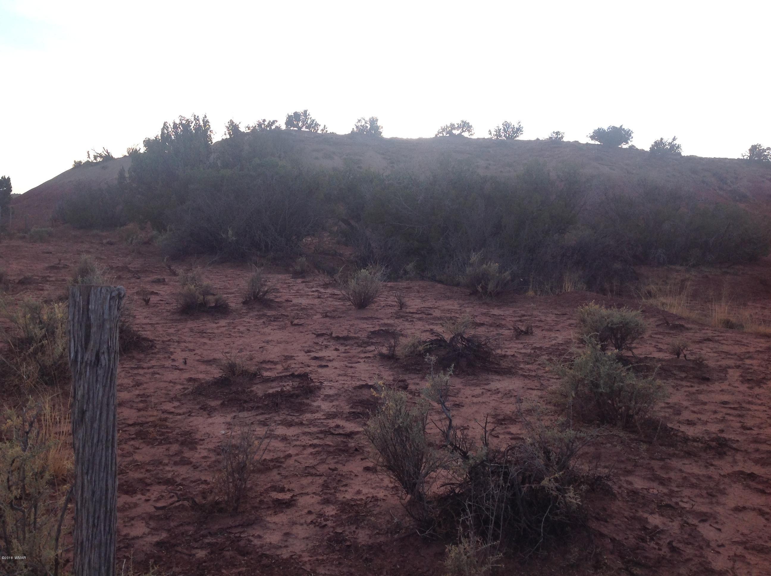 N6410 River Springs Ranch St. Johns, AZ 85936 - Photo 2 of 9