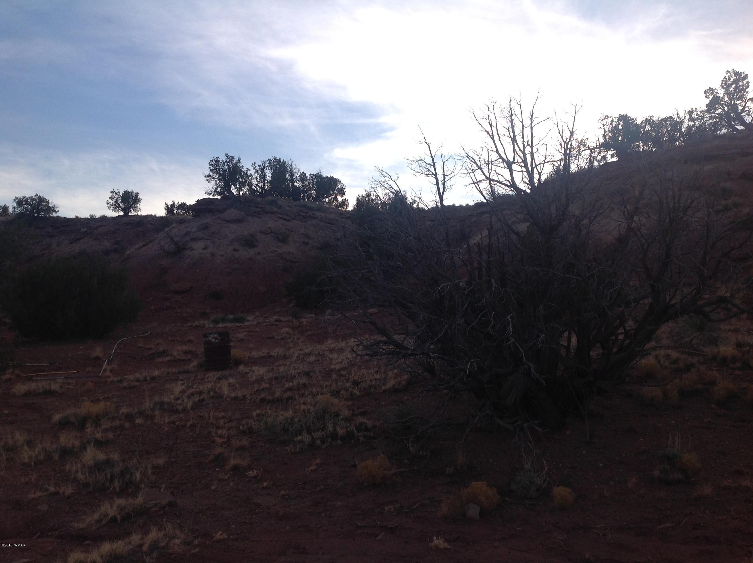 N6410 River Springs Ranch St. Johns, AZ 85936 - Photo 3 of 9