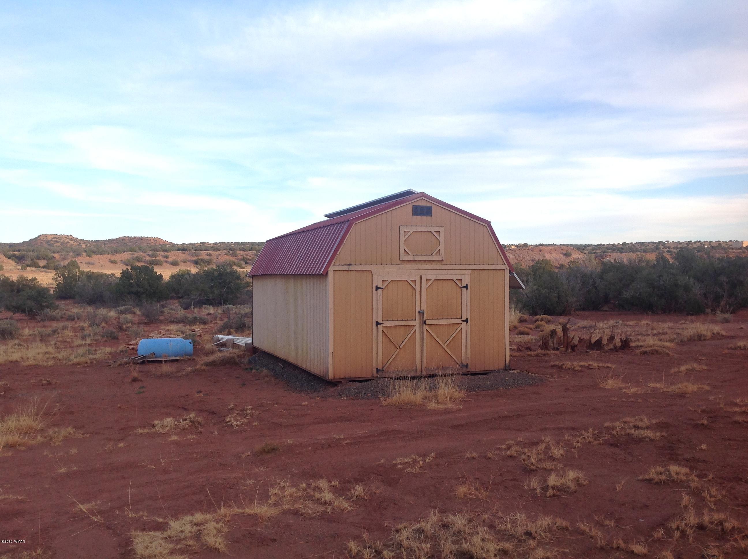 N6410 River Springs Ranch St. Johns, AZ 85936 - Photo 5 of 9