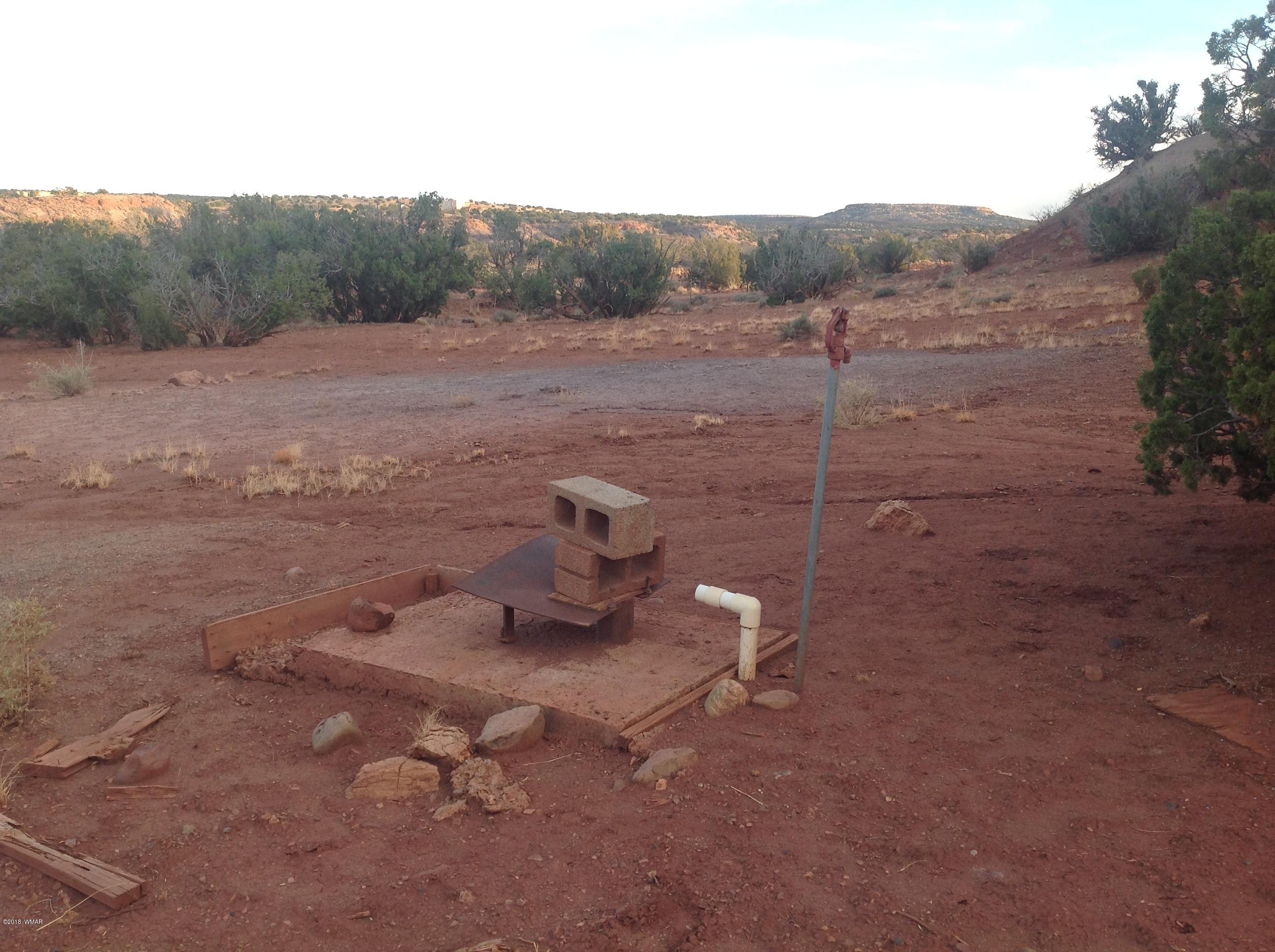 N6410 River Springs Ranch St. Johns, AZ 85936 - Photo 6 of 9