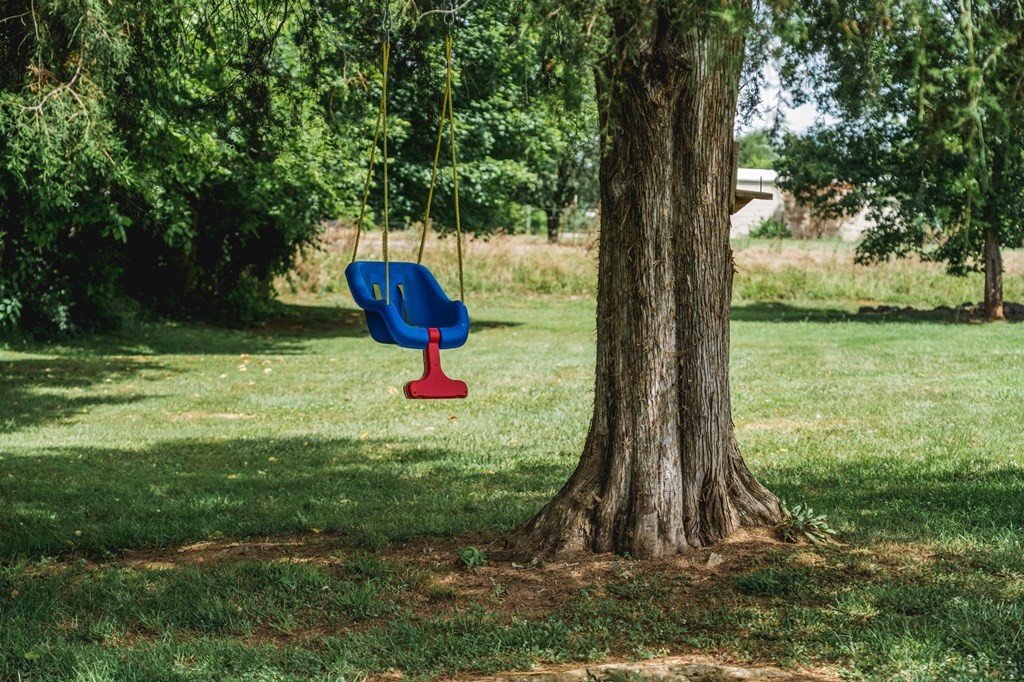 3689 Bryan Road Kodak, TN 37764 - Photo 34 of 41 a view of a garden with a tree