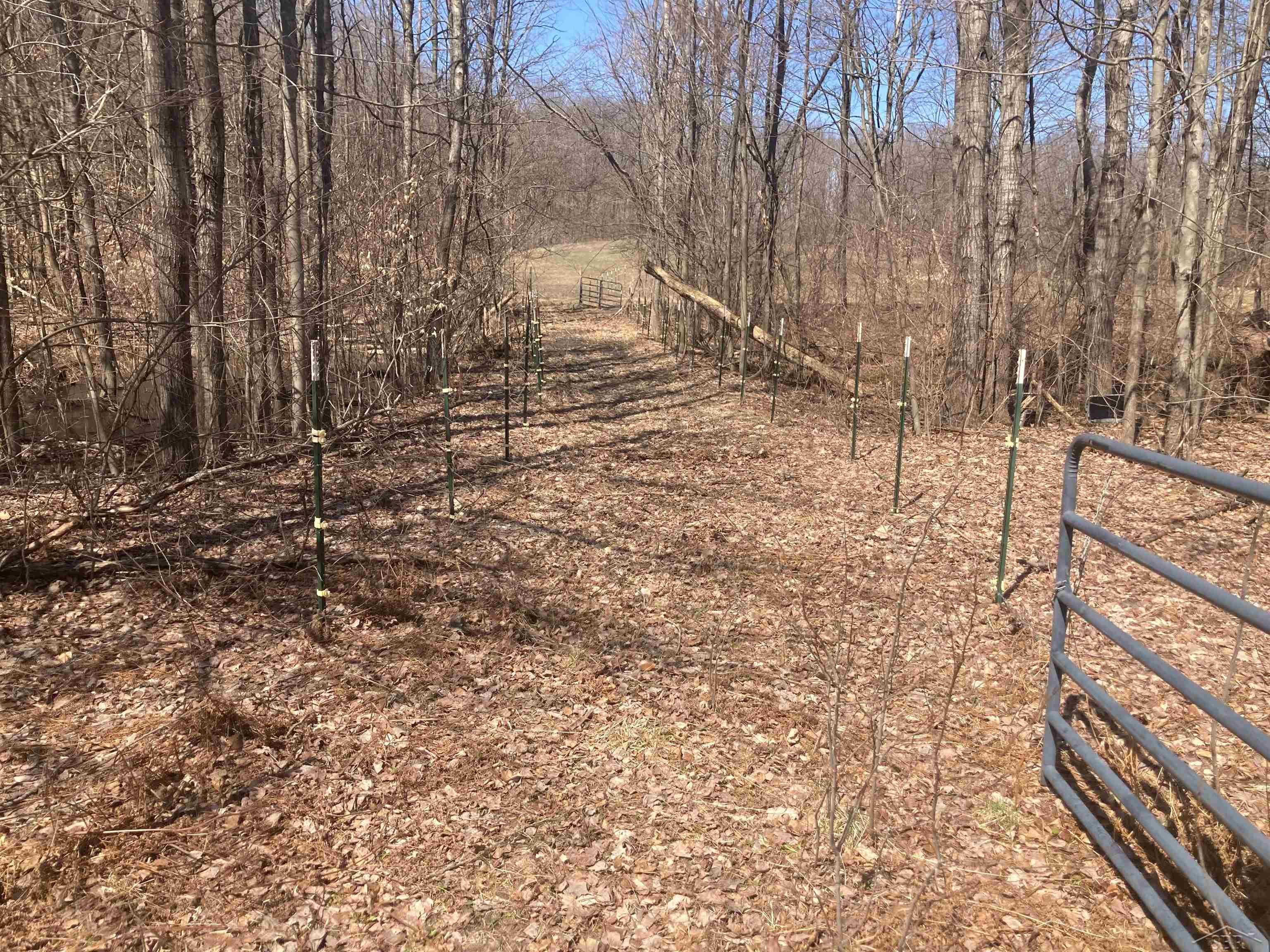 8353 West 12 Mile Road Bitely, MI 49309 - Photo 22 of 33