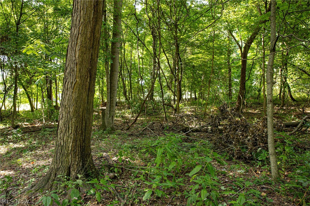 Smith Road Southwest Navarre, OH 44662 - Photo 5 of 12 Gallery Image 5