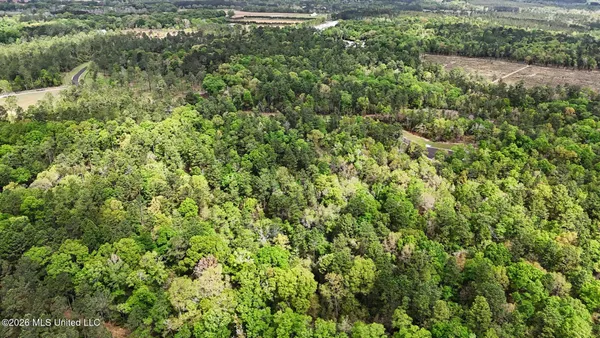 $299,500 | Lot 7 Pine Ridge Lane, Lucedale, MS 39452