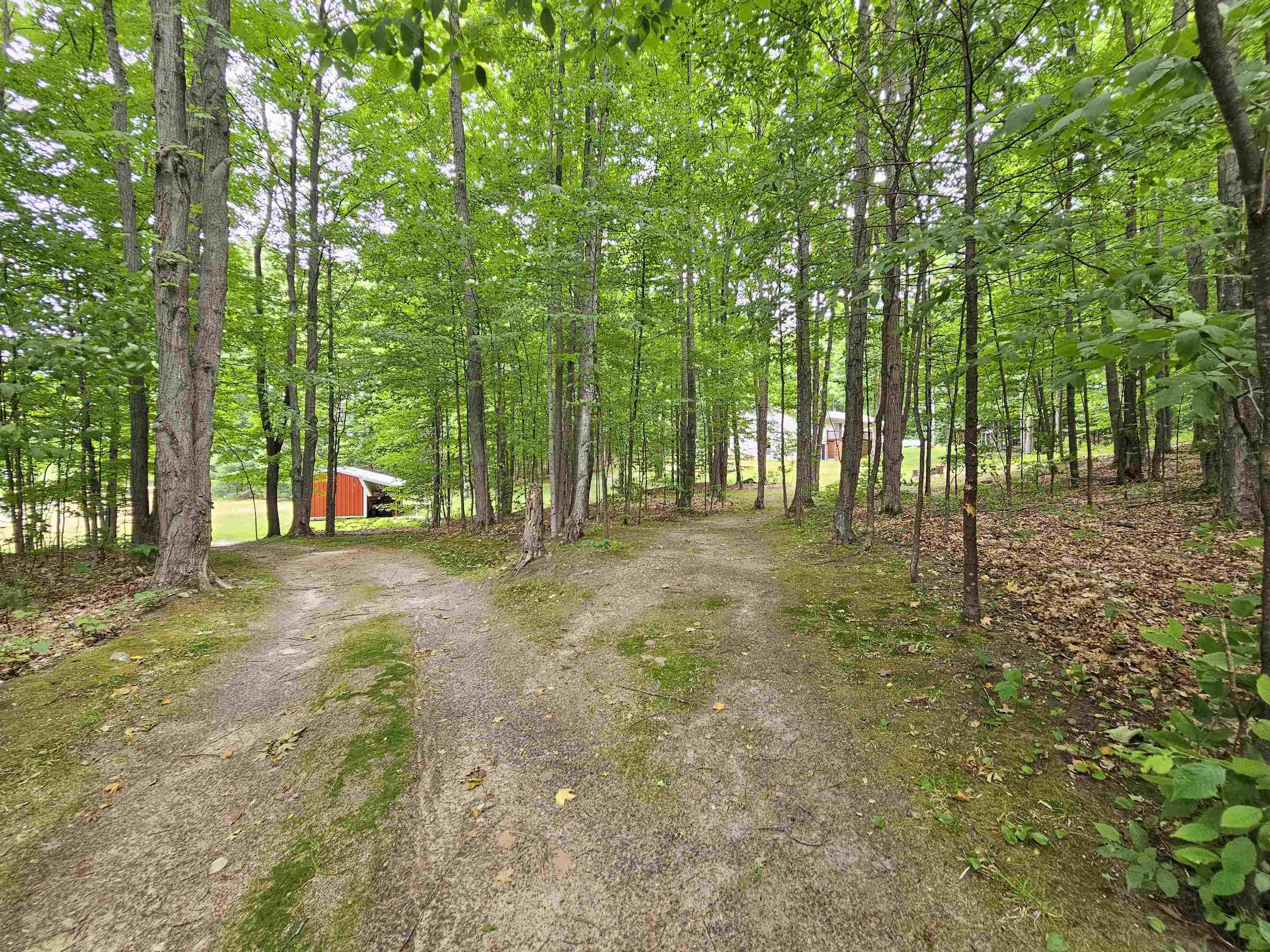 6207 West Phelps Road Manton, MI 49663 - Photo 40 of 57