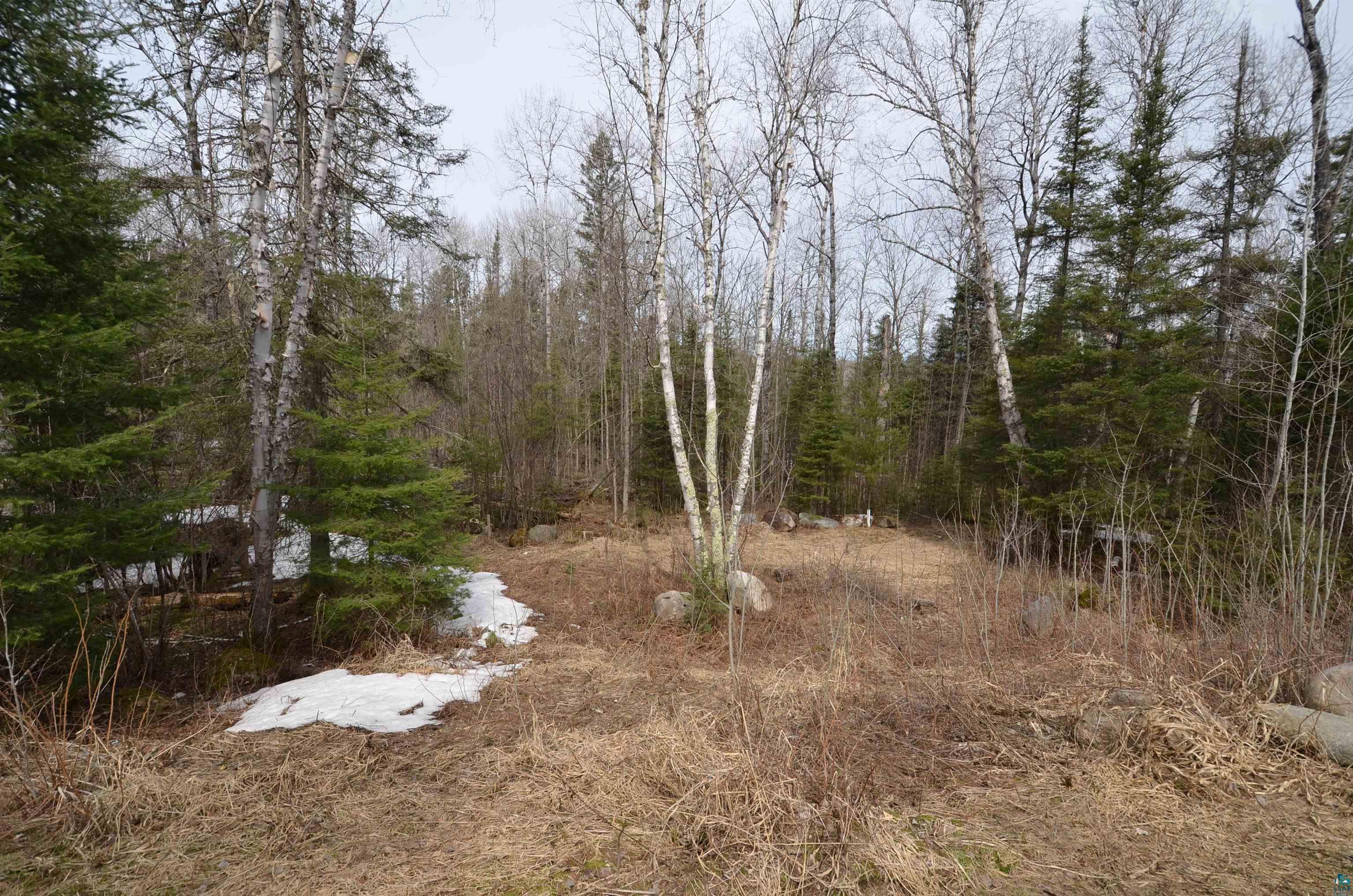 2369 Low Creek Road Ely, MN 55731 - Photo 7 of 31 Gallery Image 7